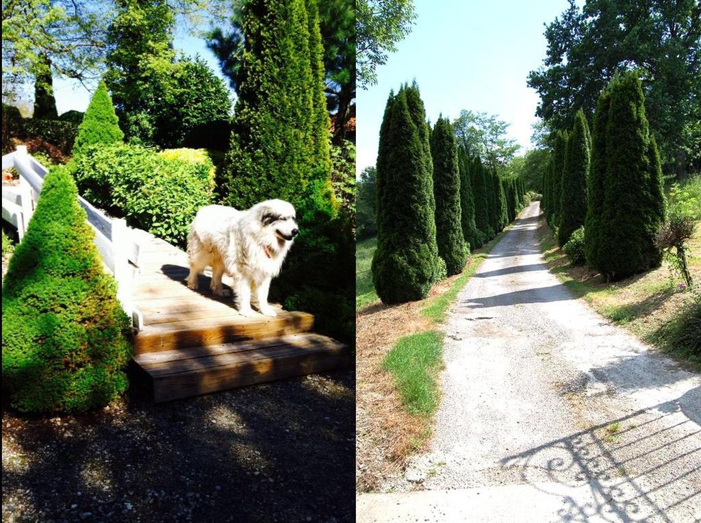 Bed & Breakfast La Ferme De Jeanne