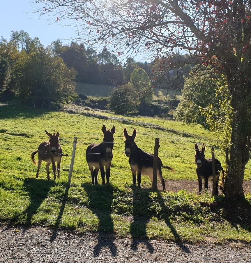 Bed & Breakfast La Ferme De Jeanne