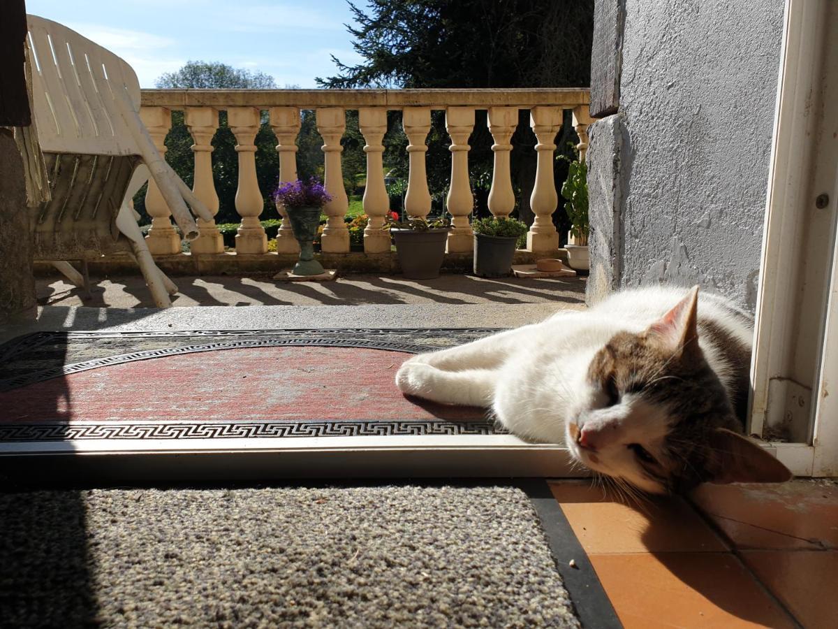 La Ferme De Jeanne Bed & Breakfast Saint-Girons (Ariege)