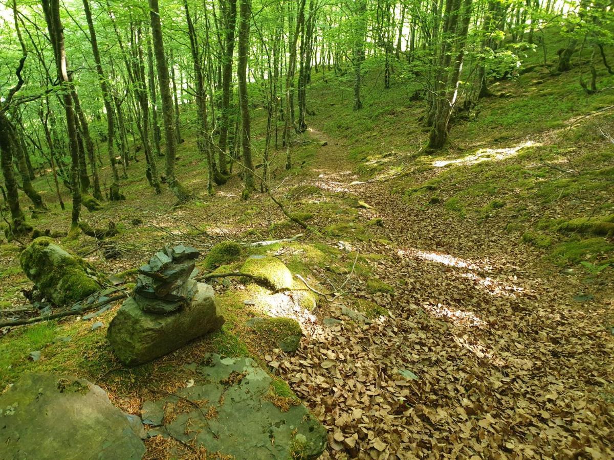 Bed & Breakfast La Ferme De Jeanne Saint-Girons (Ariege)